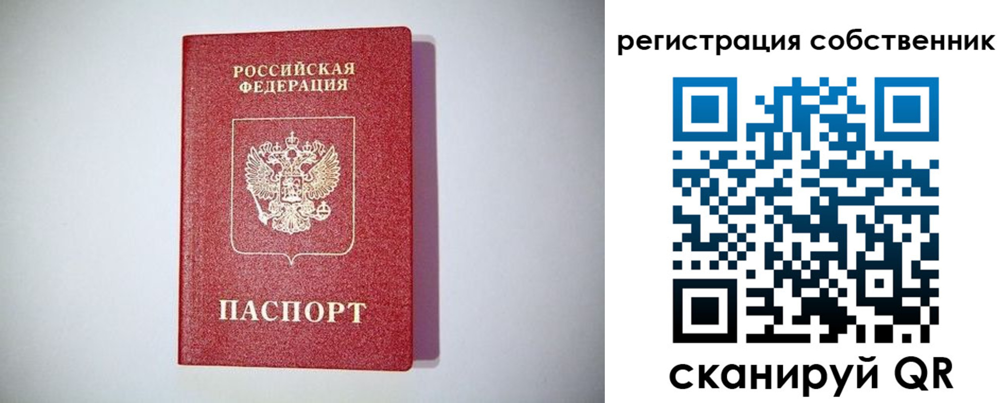 временная регистрация для школы в Ясном